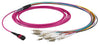 Cavo Patch a 12 Fibre Multiconnessione MTP-F/LC OM4 2m