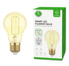 Lampadina Intelligente E27 Ambra Calda 4,9W LED a Filamento Alexa e Google Assistant Classe F, R5137