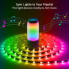 Kit Striscia LED Intelligente 5m con Funzione Musicale e Controllo Vocale Alexa, R5149