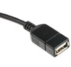 Cavo USB 2.0 OTG A Femmina / Micro B Maschio 0.2 m