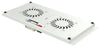 Kit di Ventilazione a Soffitto per Rack 19'' IP55 2 Ventole Grigio