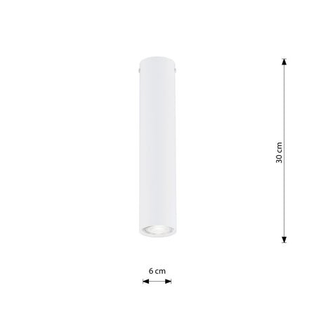 Plafoniera Moderna Faretto Tecno 1 Luce Acciaio Bianco 30 Cm