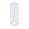 Plafoniera Moderna Faretto Tecno 1 Luce Acciaio Bianco 15 Cm