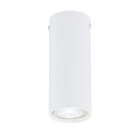 Plafoniera Moderna Faretto Tecno 1 Luce Acciaio Bianco 15 Cm