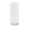 Plafoniera Moderna Faretto Tecno 1 Luce Acciaio Bianco 15 Cm
