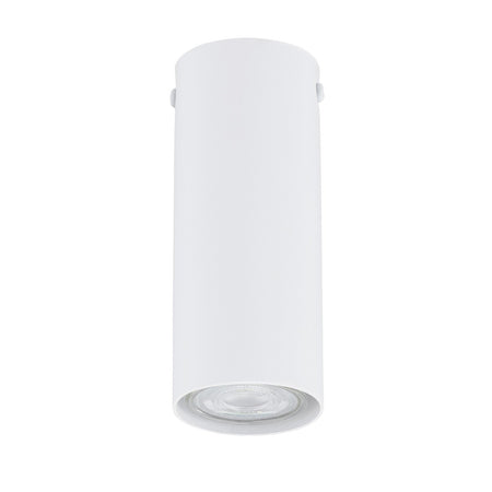 Plafoniera Moderna Faretto Tecno 1 Luce Acciaio Bianco 15 Cm