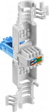 Plug Cat.6A RJ45 UTP Toolless con Copriconnettore