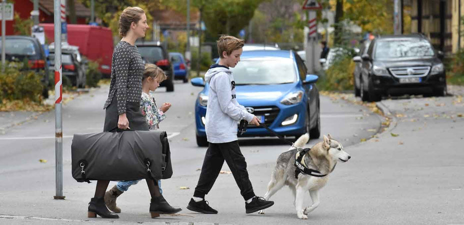 Trasportino per cani Tami DogBox