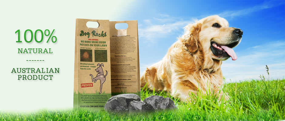 Pietra naturale Dog Rocks
