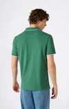 Polo uomo Champion Polo Gallery in cotone piqué – Standard Fit, leggera e traspirante Verde