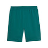 Puma Shorts Uomo Essentials Elevated – Cotone, Vita Elastico, Tasche Alpine Snow
