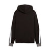 Felpa Uomo Essentials Block PUMA Black