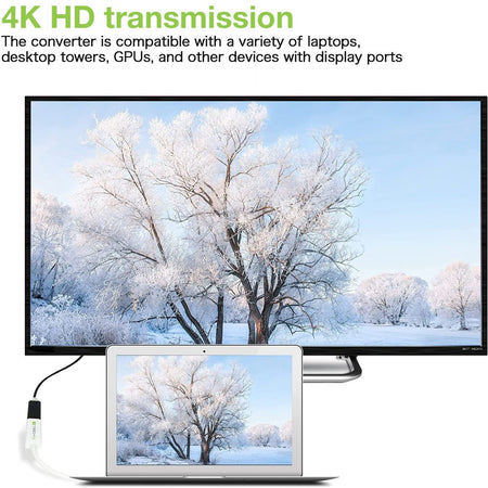 Adattatore Passivo DisplayPort Maschio a HDMI Femmina 4K 30Hz