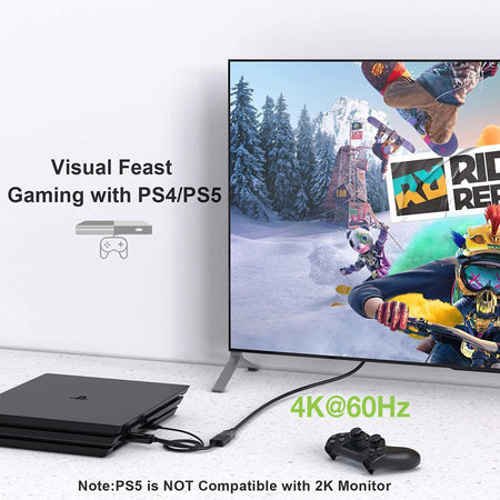 Adattatore Convertitore da HDMI&trade a Displayport con USB 4K 60Hz