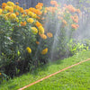 Tubo Piatto Microforato 25Mt Irrigazione Giardino Piante Esterno con Connettore