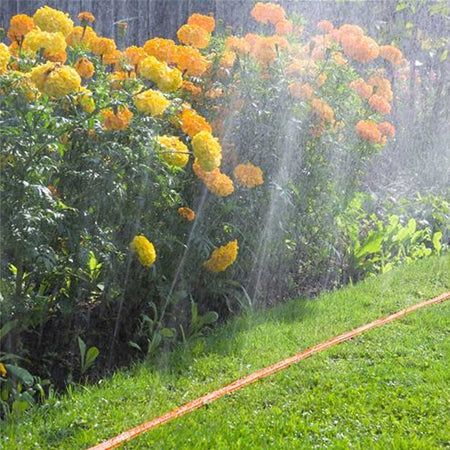 Tubo Piatto Microforato 25Mt Irrigazione Giardino Piante Esterno con Connettore