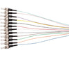 Set 12 Pigtail Fibra Ottica Multimodale OM3 ST 50/125 2 m