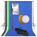 Kit Studio Fotografico con Luci Softbox Fondale e Riflettore 5 in 1 Portatile
