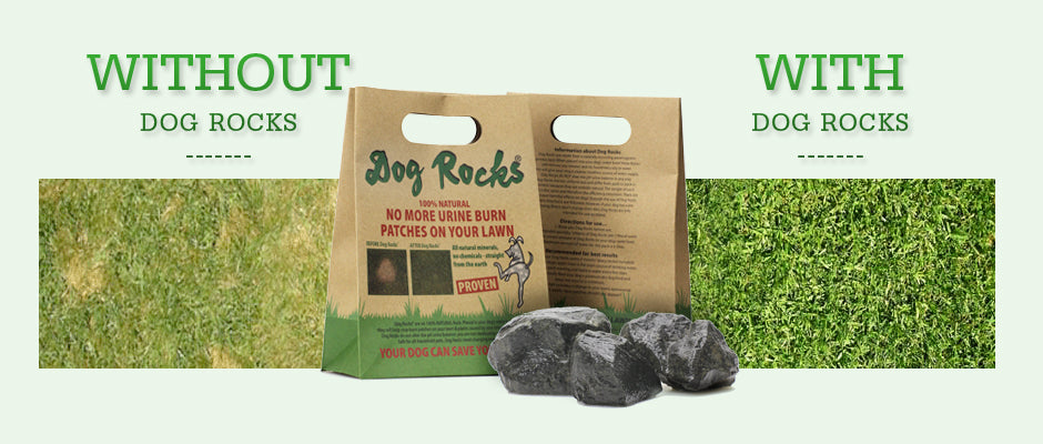 Pietra naturale Dog Rocks