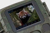 Camera Wild 1080P 12MP IP56 PIR IR 18m per Osservazione Fauna, TX-117