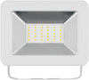Faretto LED da Esterno IP65 30W Bianco