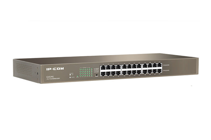 Switch Ethernet Gigabit 24 Porte