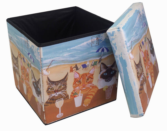 Biscottini Biscottini Pouf Contenitore Pieghevole 32x32x32 Ecopelle Sgabello Poggiapiedi