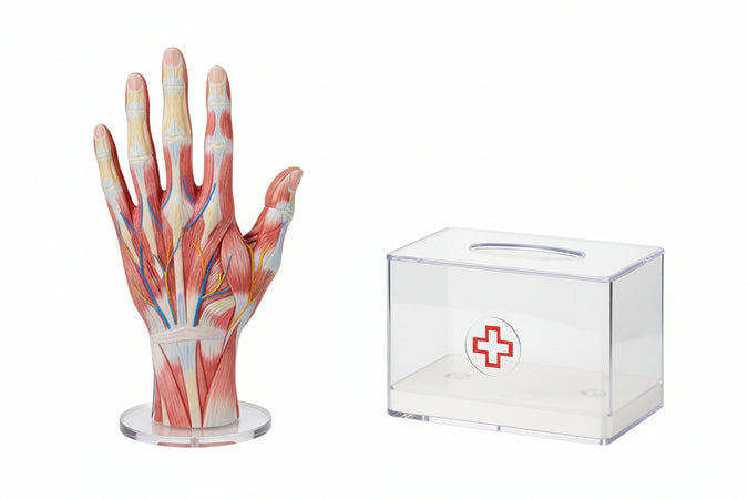 Prontex guanto in lattice con amido medio 100 pezzi