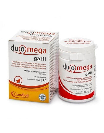 Duomega gatti