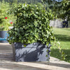 EDA Muret + ruote 74L Toscana