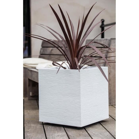 Vassoio di fiori quadrato in grafite EDA Graphit - 57 L - 49,5 x 49,5 x 49,5 cm - Ceruse bianco