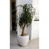 EDA Vaso di fiori Graphit 50cm