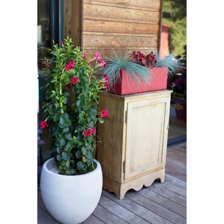EDA Vaso di fiori Graphit 50cm