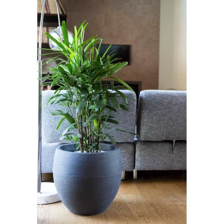 Grey 46L pot 50cm rotonda