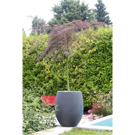 EDA Round Pot Grafit 50cm - Capacità 53L - Grigio antracite