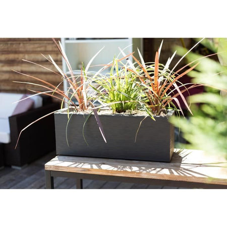 Box Finestra Graphit fino a 25L