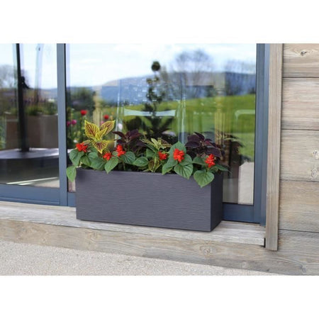 Box Finestra Graphit fino a 25L