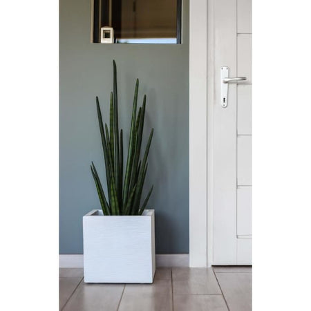 Bac fiori Graphit Up 21L B