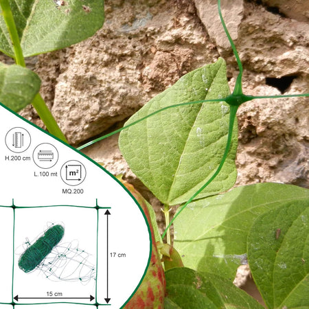 Rete per ortaggi rampicanti Rotolo 2x100 mt Verde