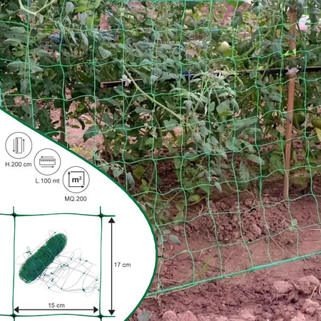 Rete per ortaggi rampicanti Rotolo 2x100 mt Verde