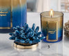 Candela media in ceramica bicolore blu anemone Melaverde Linea Tropicana da 200gr, decorata a mano, con scatola regalo raffinata.
