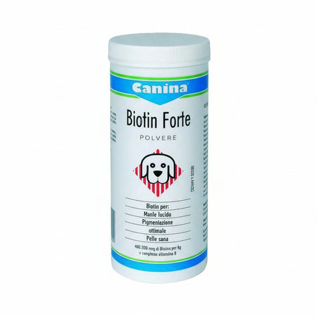 Biotin Forte polvere
