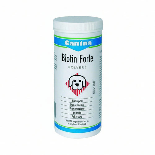 Biotin Forte polvere