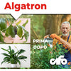 Cifo Algatron – Energia pura per tutte le piante