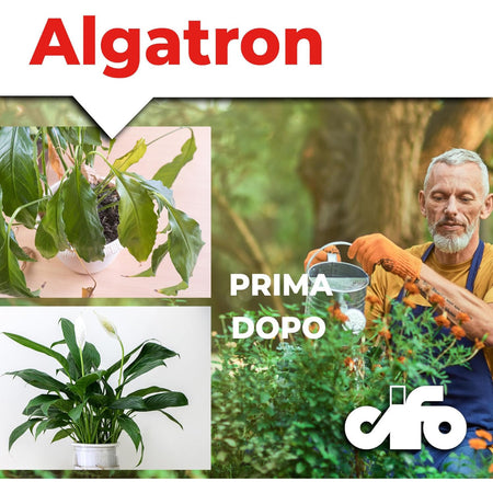 Cifo Algatron – Energia pura per tutte le piante