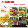 Cifo Algatron – Energia pura per tutte le piante