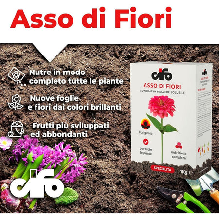 Cifo Asso di Fiori – Concime polvere piante verdi e fiorite kg.1