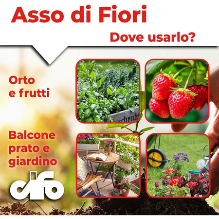 Cifo Asso di Fiori – Concime polvere piante verdi e fiorite kg.1