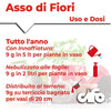 Cifo Asso di Fiori – Concime polvere piante verdi e fiorite kg.1