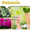 Cifo Potassio – Integratore carenze di potassio piante 250 ml